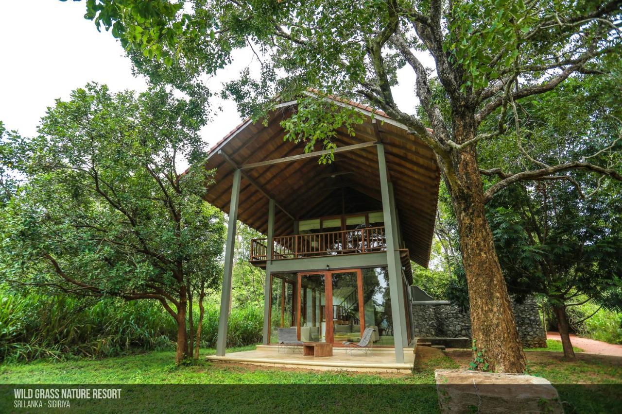 Wild Grass Nature Resort Sigiriya Exterior foto